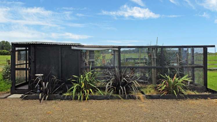 110 Lambert Road Putauaki_26