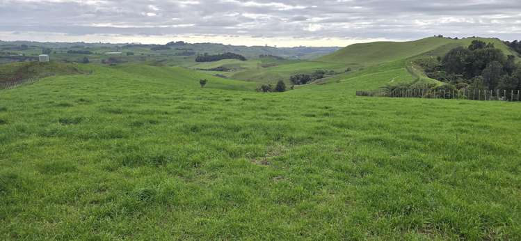 Mangaone Road Inglewood_8