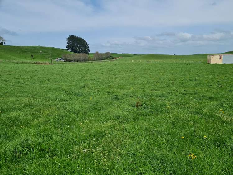 0n Upper Stuart Road_2