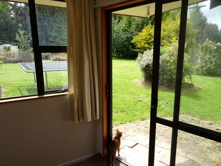 295 Kelvin Road Gore Surrounds_26