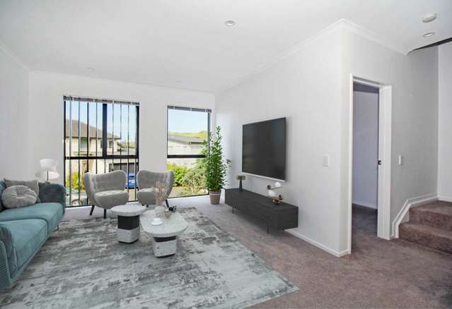 165 Barbarich Drive Stonefields_1