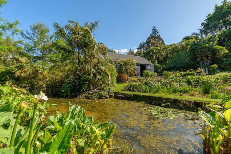 113A Margaret Drive Omokoroa Western Bay Of Plenty Houses for