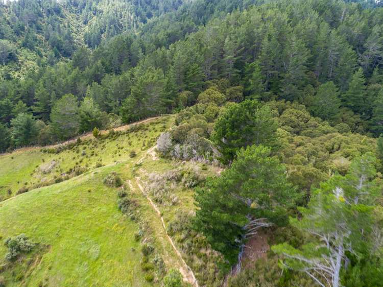 939 Kaiwhata Road Te Wharau_12