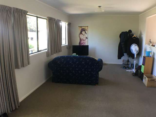 3/1a Henry Street Avondale_1