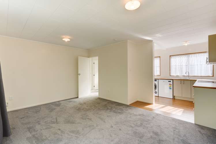 335 Western Hills Drive Avenues_24