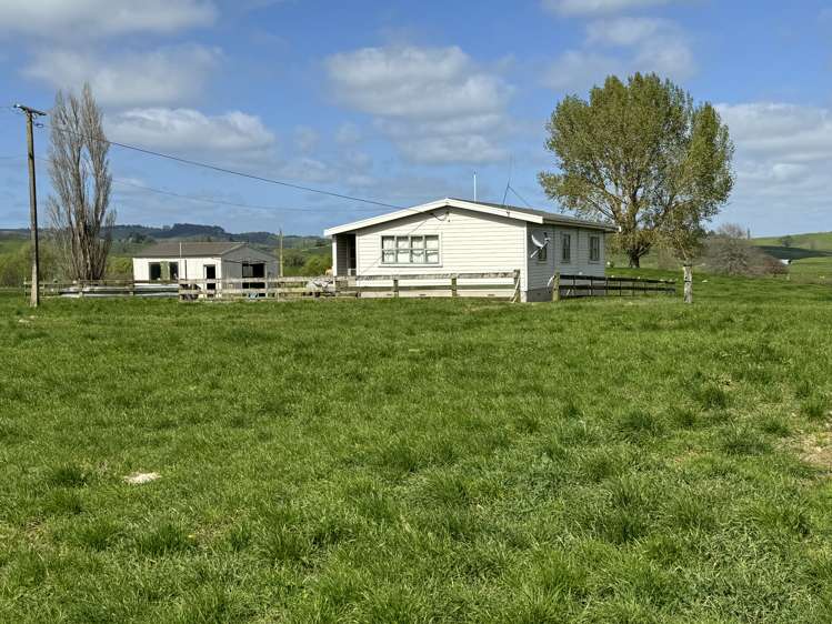 260 Maihiihi Road Maihiihi_19