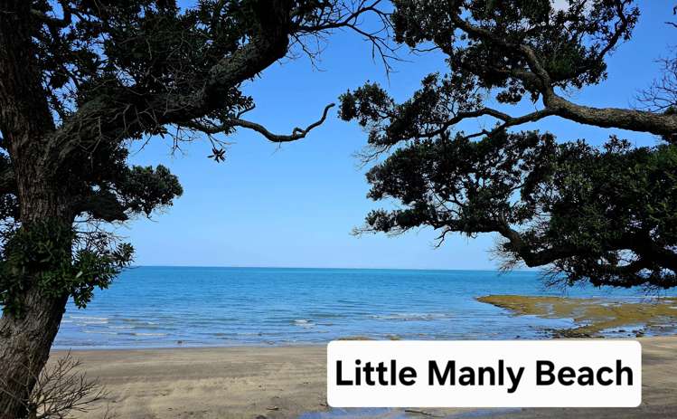 40 Zealandia Road Manly_15