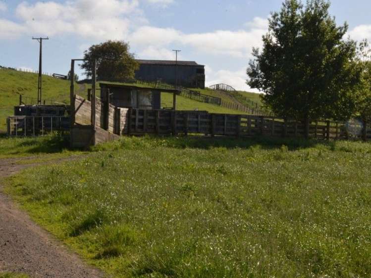 1035 Bayley Road Wharepuhunga_8