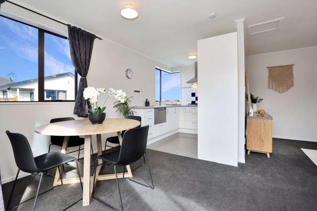 311 Havelock Street Ashburton_1