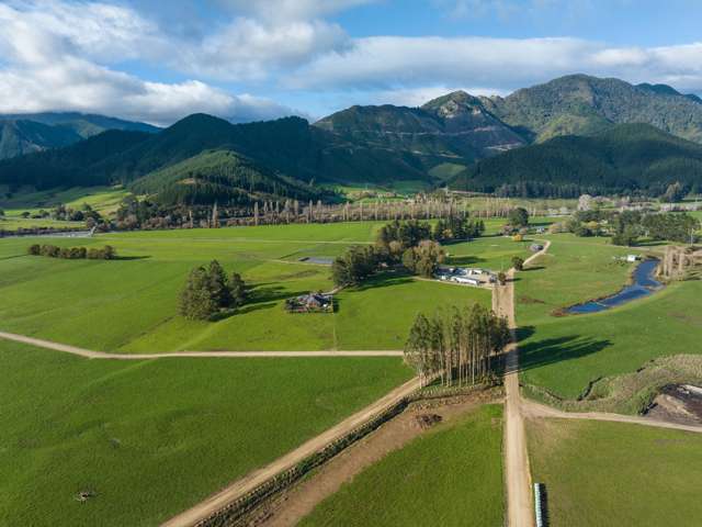 52 Daltons Road Canvastown_4