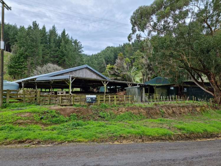 568 Morea Road Hawera_18