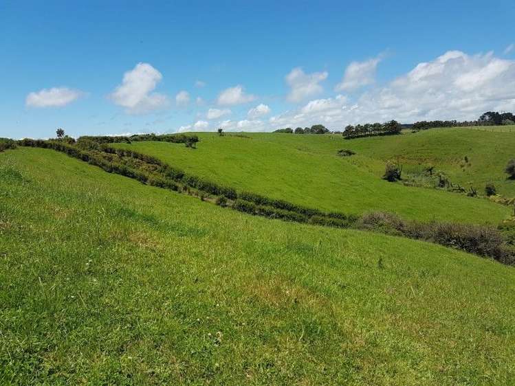 80 Koru Road Omata_5