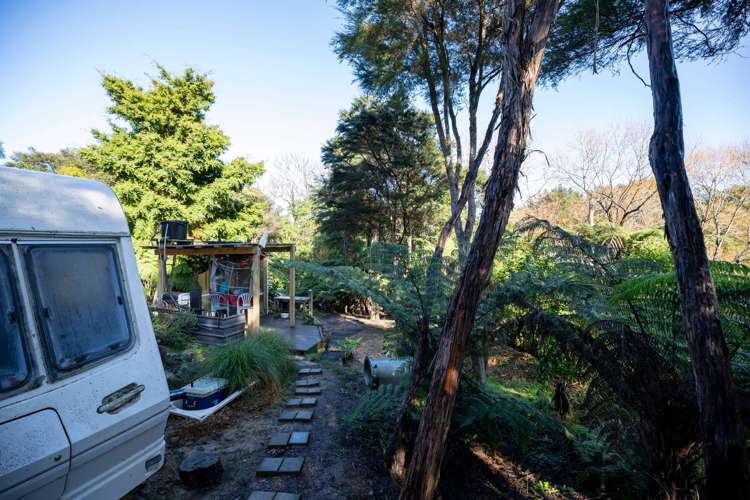 225b Driving Creek Road Coromandel_13