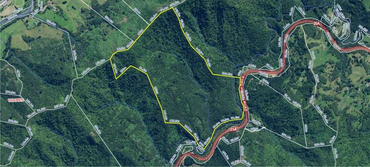 495 Kopu Hikuai SH 25A Thames-coromandel_11