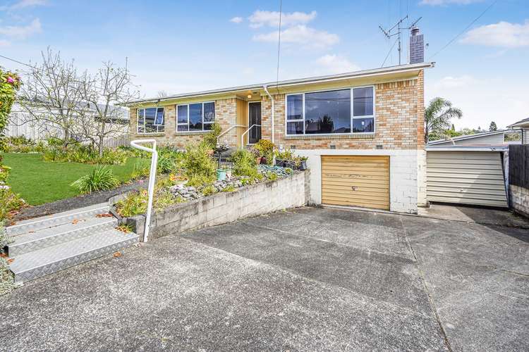 31 Thomson Avenue Dinsdale_23