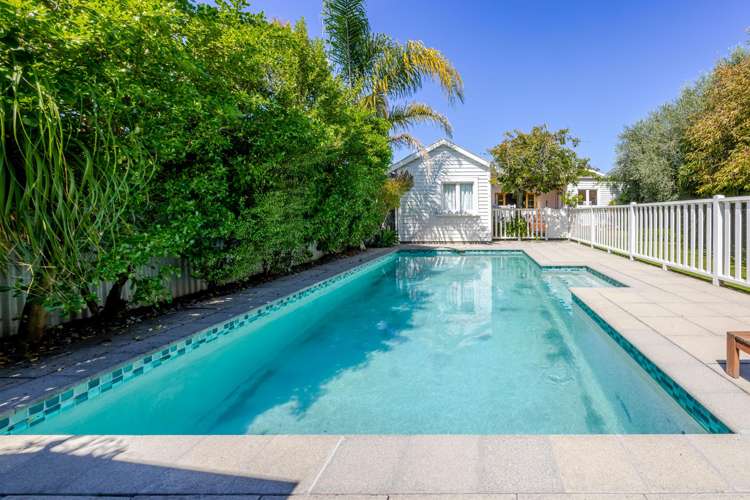 6 Thistle Street Napier South_25