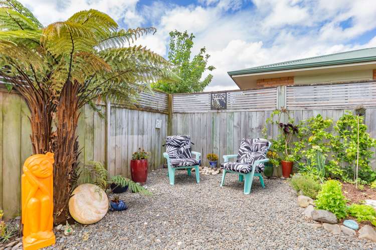 22b Reeve Street Levin_11