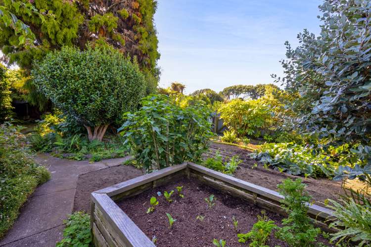 355 High Street Hawera_24