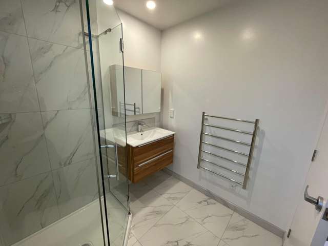  19 Winchester Street Merivale_3