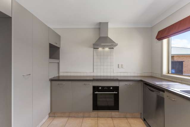 24B Reeve Street Levin_3