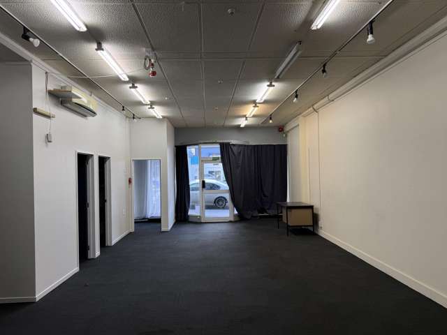 496 Princes Street Dunedin Central_1