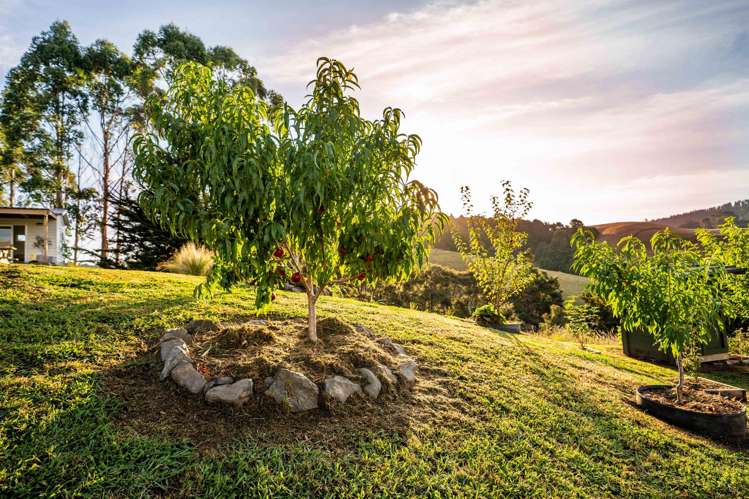 73 Bayer Road Puhoi_21