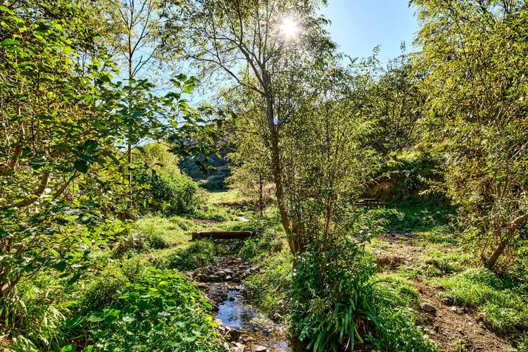 202 Happy Valley Road Owhiro Bay_19