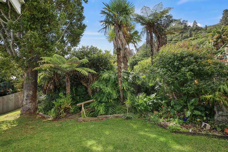 103 Graham Street Thames_24