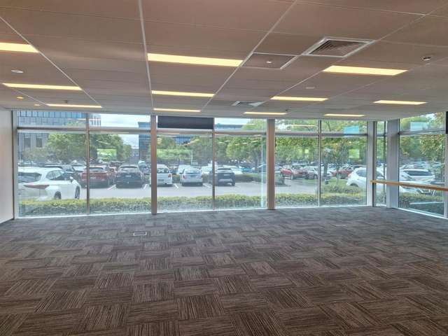 7 Show Place Addington_4