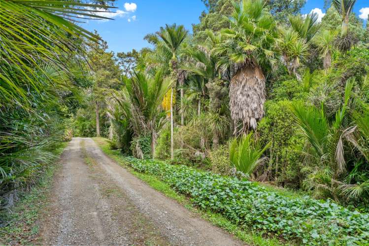 2395f State Highway 1 Brynderwyn_6