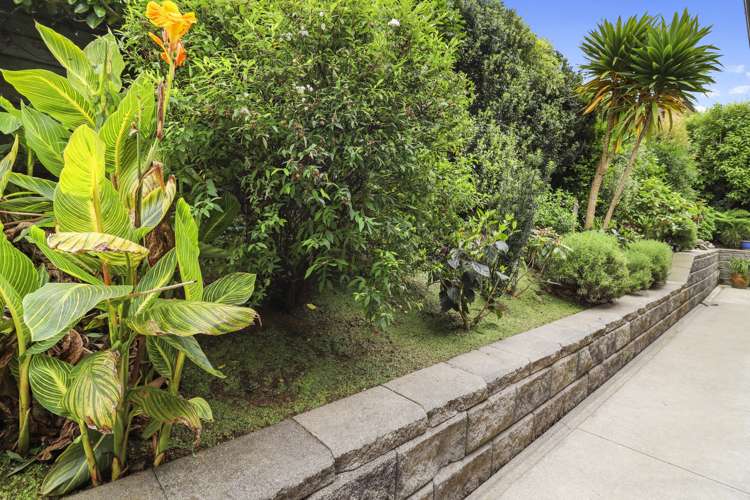 1 Fergusson Grove Morrinsville_18