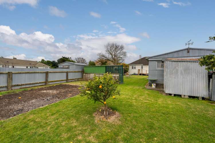 80 Douglas Mclean Avenue Marewa_11