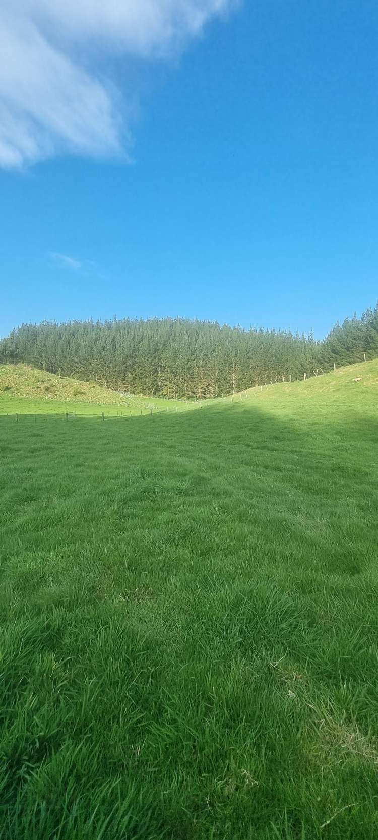 2877 State Highway 30 Rotoma_23