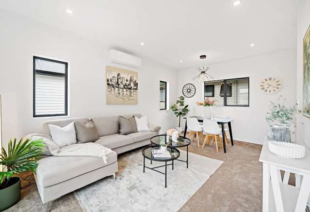 20B Subritzky Avenue Mount Roskill_1
