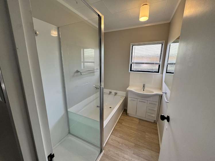 120B Nixon Street Hamilton East_9