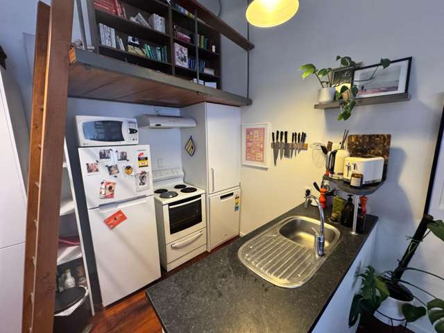 3/14 Alpha Street Te Aro_1