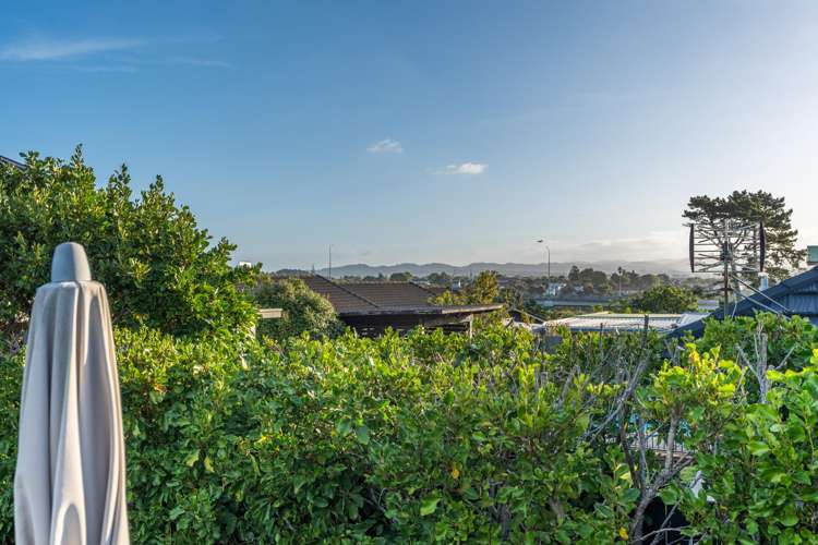 54 Miller Street Point Chevalier_32