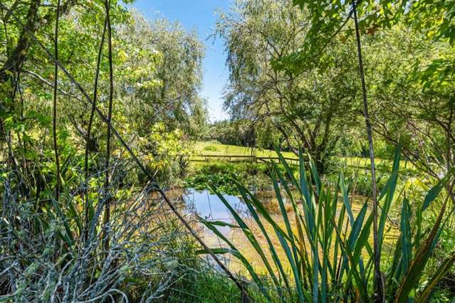 48 Pomona Road Kumeu_3