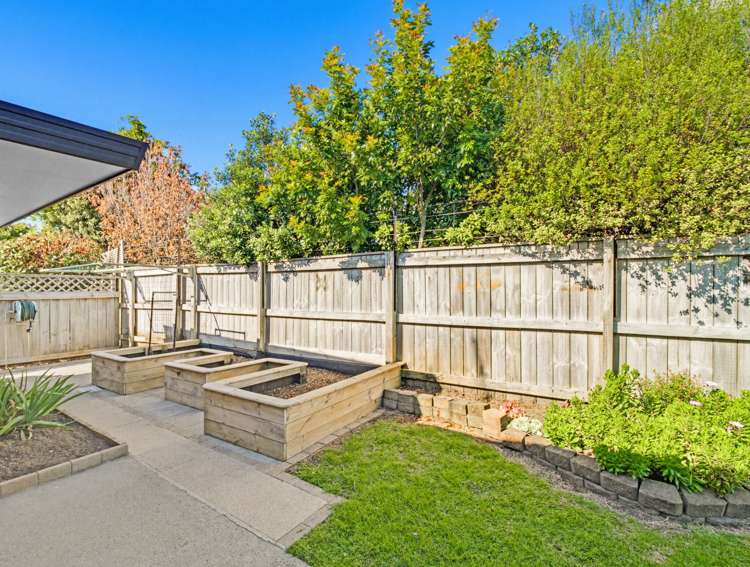 11B Walnut Grove Whakatane_22