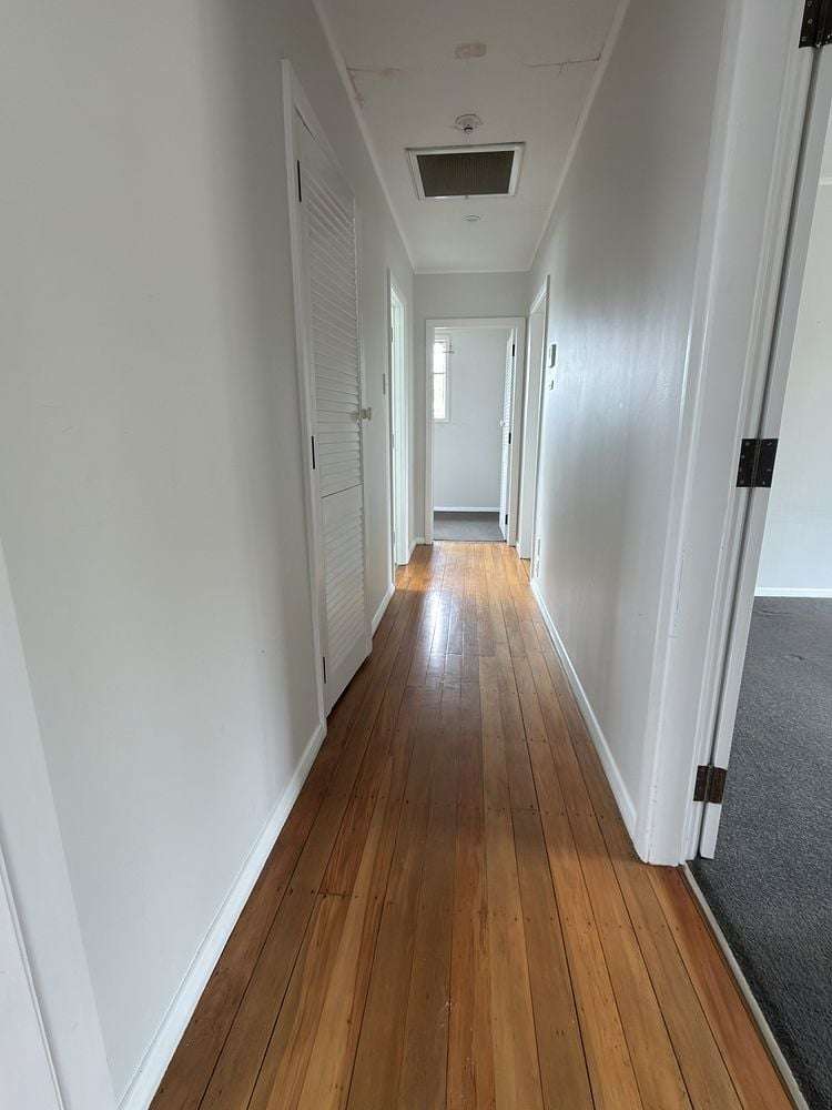 8 Bathurst Street Silverstream_15