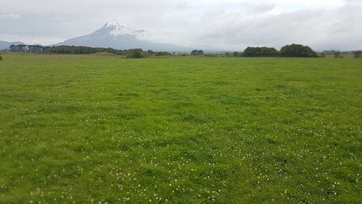 531 Ngariki Road Rahotu_12