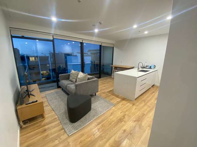Furnished 2 bed penthouse apartment, Grey Lynn