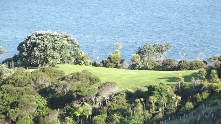 149 Lawson Drive Tutukaka_2