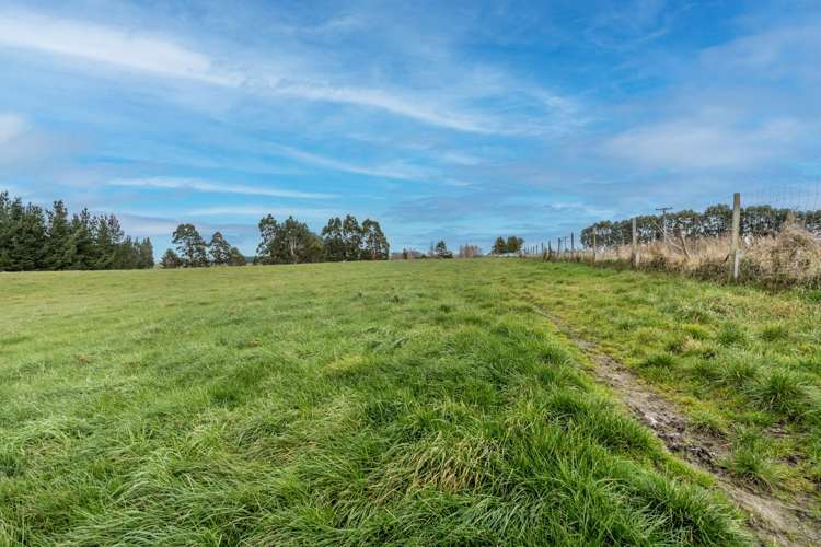 22 Paterson Road Waimumu_5