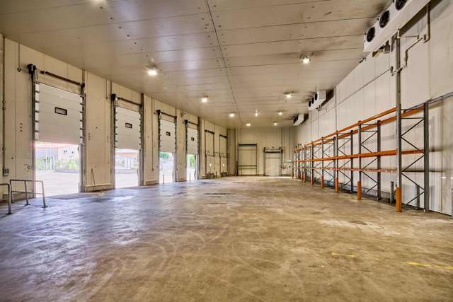 9-11 Matiu Close Elsdon_1