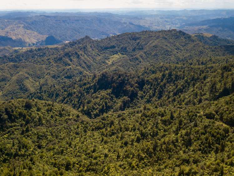 552b Cuff Road National Park_17