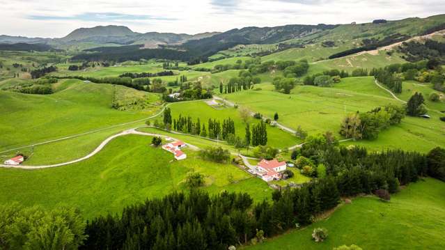 2266 Kahuranaki Road Elsthorpe_2