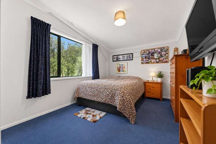 102B Pinnacle Hill Road Mangatawhiri_15
