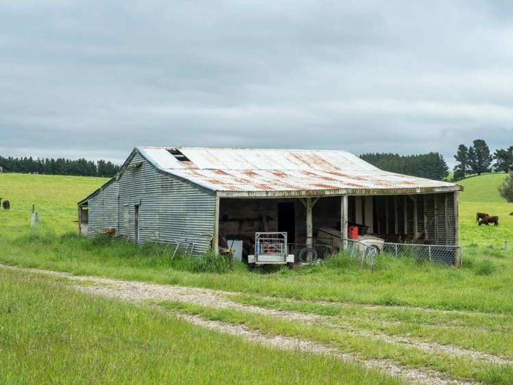 309 Ward Road St Andrews_13