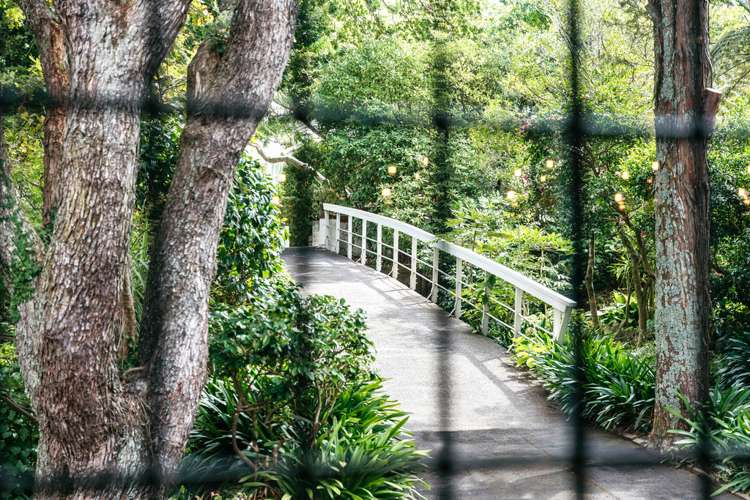 4 Cotter Avenue Remuera_1